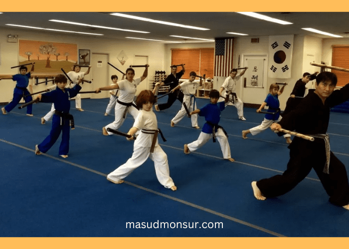 Learning Martial Arts - Discipline, Fitness, and Self-Defense for Free 2024 3 Learning Martial Arts