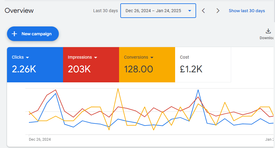 Case Study: Boosting Sales for Ecommerce Peachy Bay through Google Ads 5 image 1