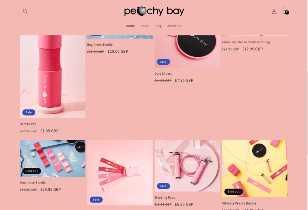 Case Study: Boosting Sales for Ecommerce Peachy Bay through Google Ads 3 image 2