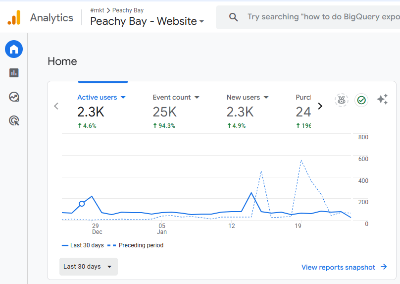 Case Study: Boosting Sales for Ecommerce Peachy Bay through Google Ads 6 image 3