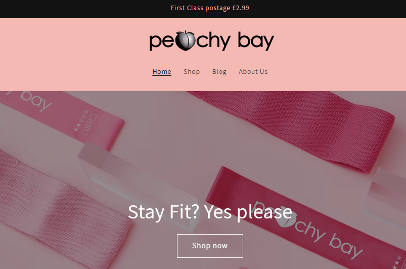 Case Study: Boosting Sales for Ecommerce Peachy Bay through Google Ads 10 peachy bay